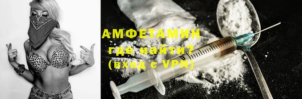 дмт Каменка