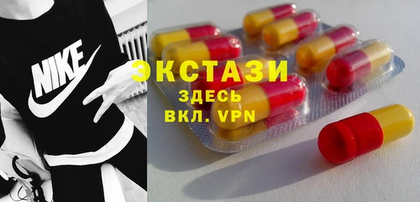дмт Каменка