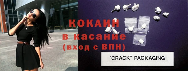 дмт Каменка