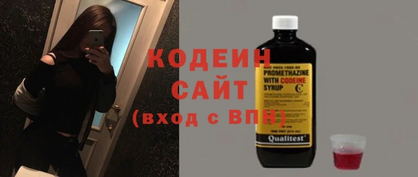 дмт Каменка