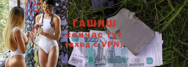 дмт Каменка