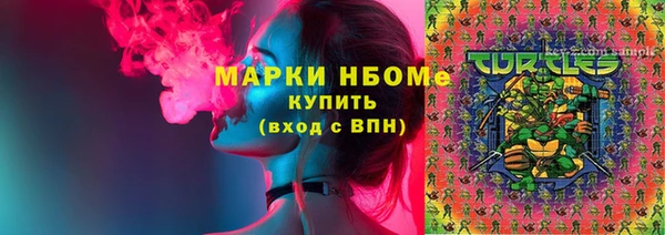 дмт Каменка
